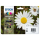 Tusz Epson Zestaw 4 tuszów T1806 (T1801 T1802 T1803 T1804)
